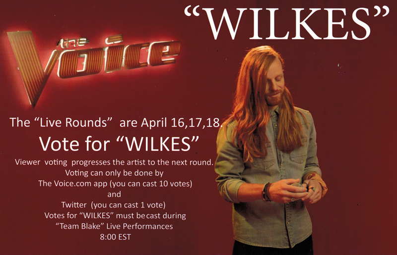 Vote for Wilkes flyer